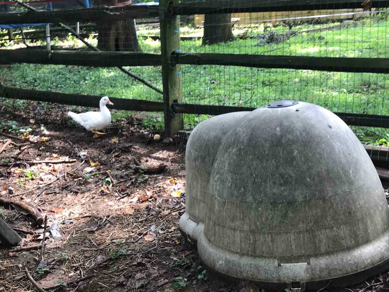 Dog house for your friend.  