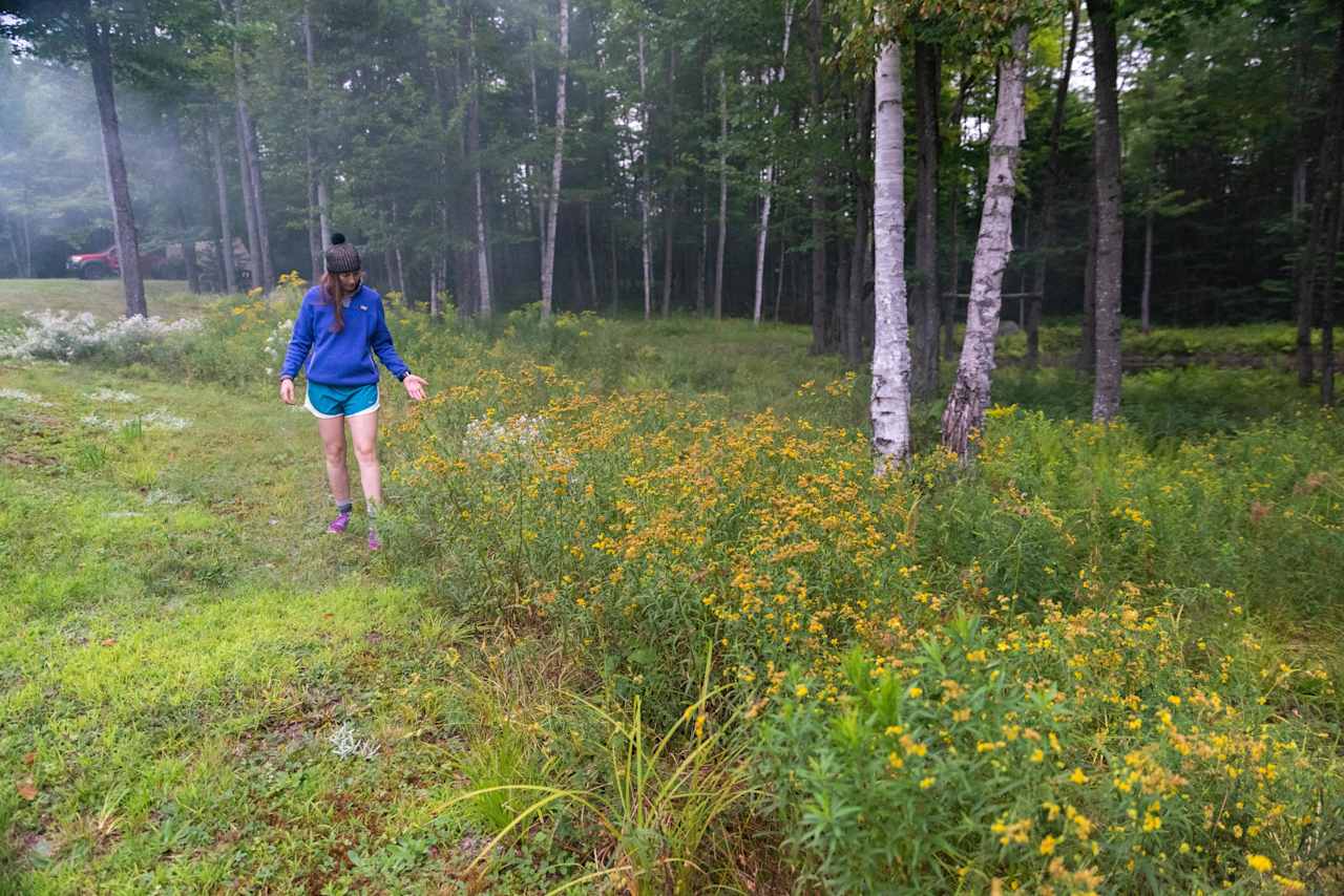 The campsite is surrounded by wildflowers.