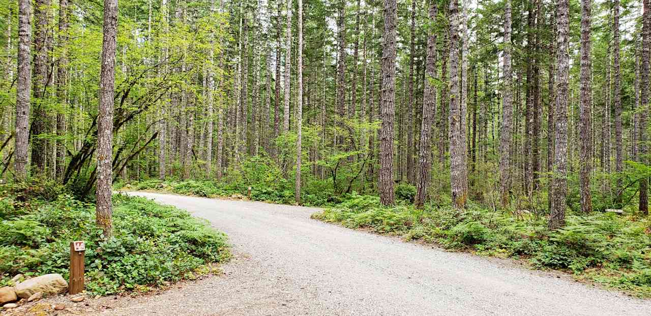 Big Creek Campground