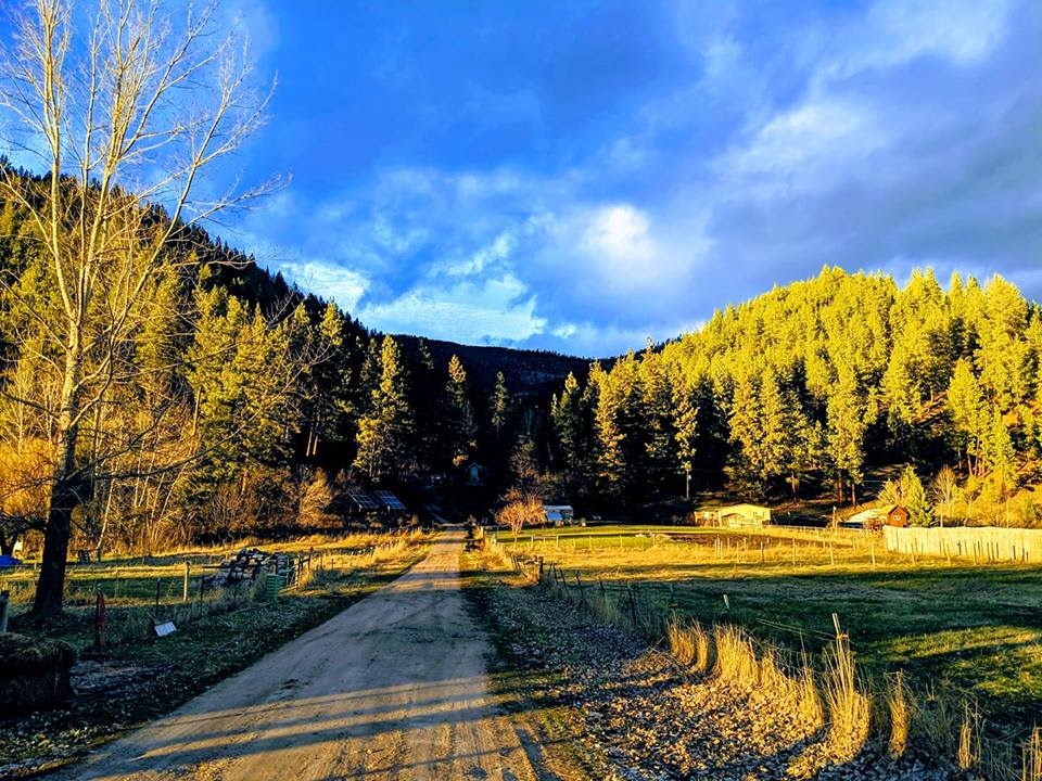 Rainbow Gulch Farm