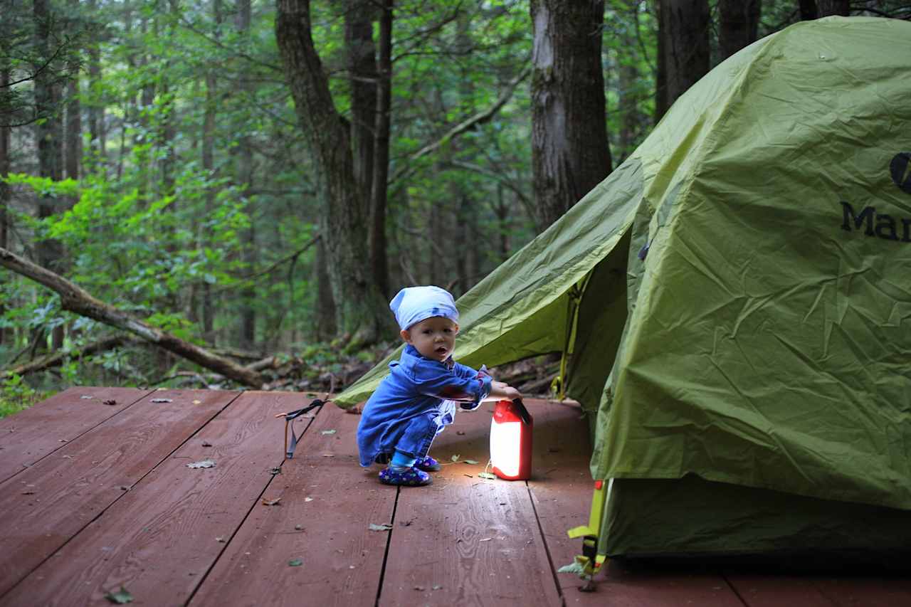 Behind the tent are large maple trees with a leaf-litter covered ground; in front are soft needles and monster centuries old hemlocks, with moss on everything that doesn’t move. 