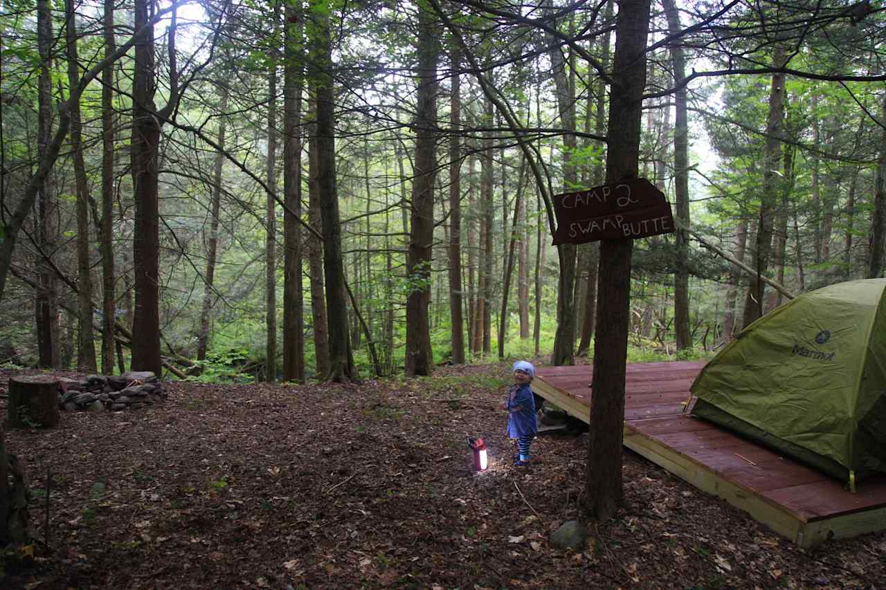 Camp 2, overlooking the swamp. The deck is on the edge of a bluff, right where the deciduous forest turns to hemlocks and wetlands. The view is phenomenal.  There is a 10x10 platform, fire pit, and table. This site is hike in only, not accessible by vehicle. 