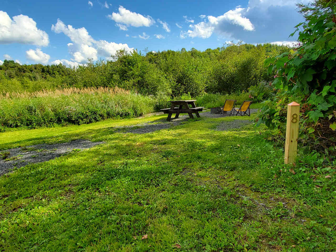 Site 5 is just 50' off our quiet town highway.