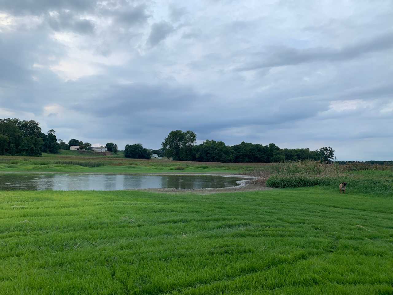 Bald Eagle Farm on the Patuxent