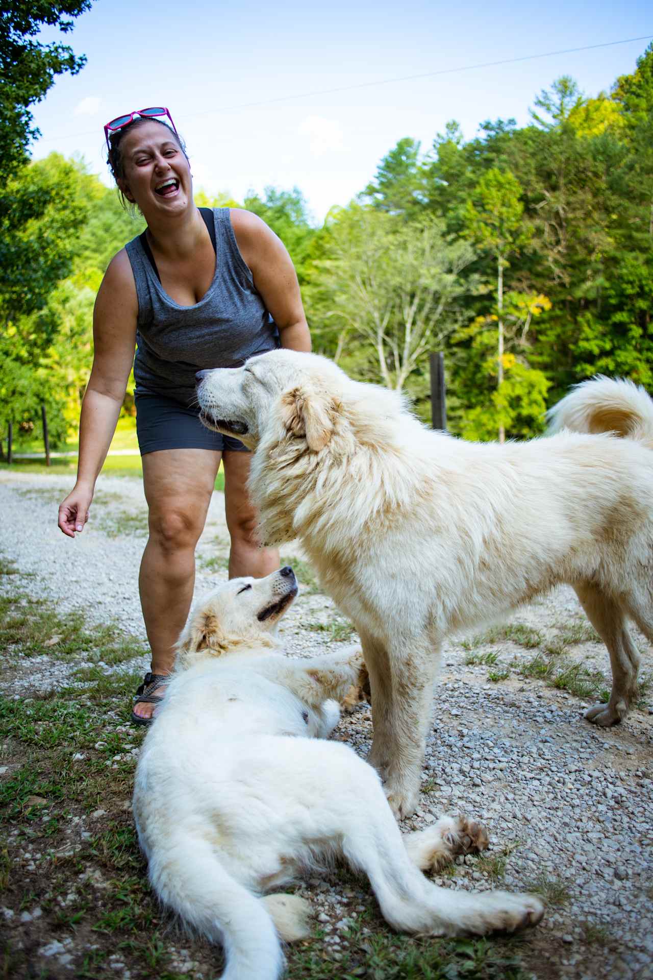 Saying hello to the pups