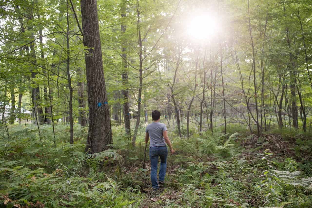 Rob has hiking trails marked so they're easy to follow and enjoy