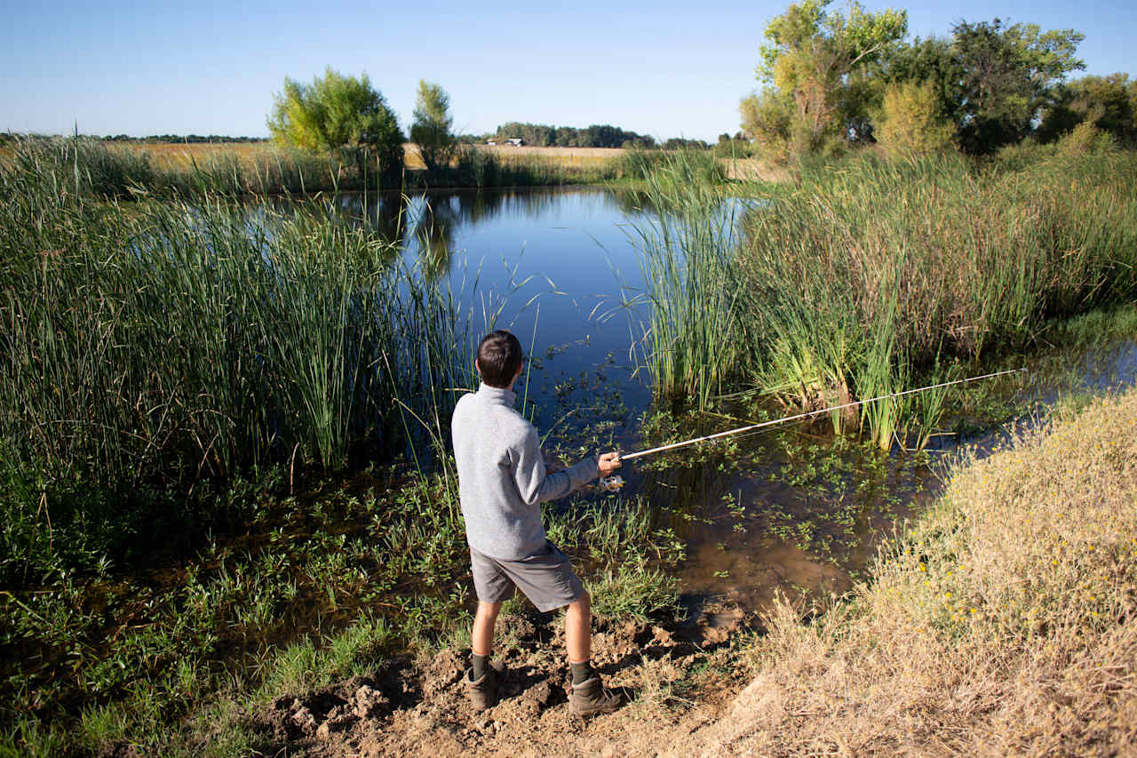 Fishing in the back pond