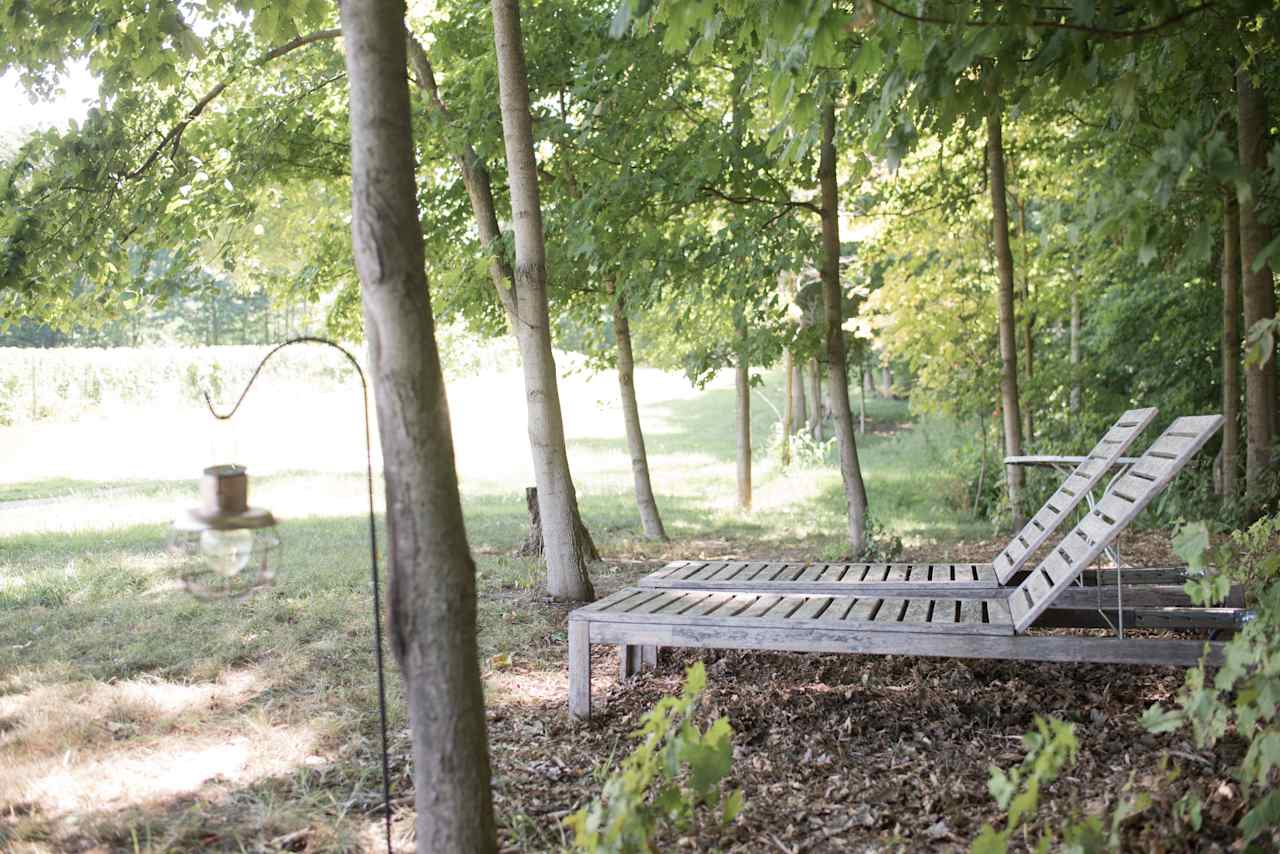 Plenty of comfortable lounge chairs available