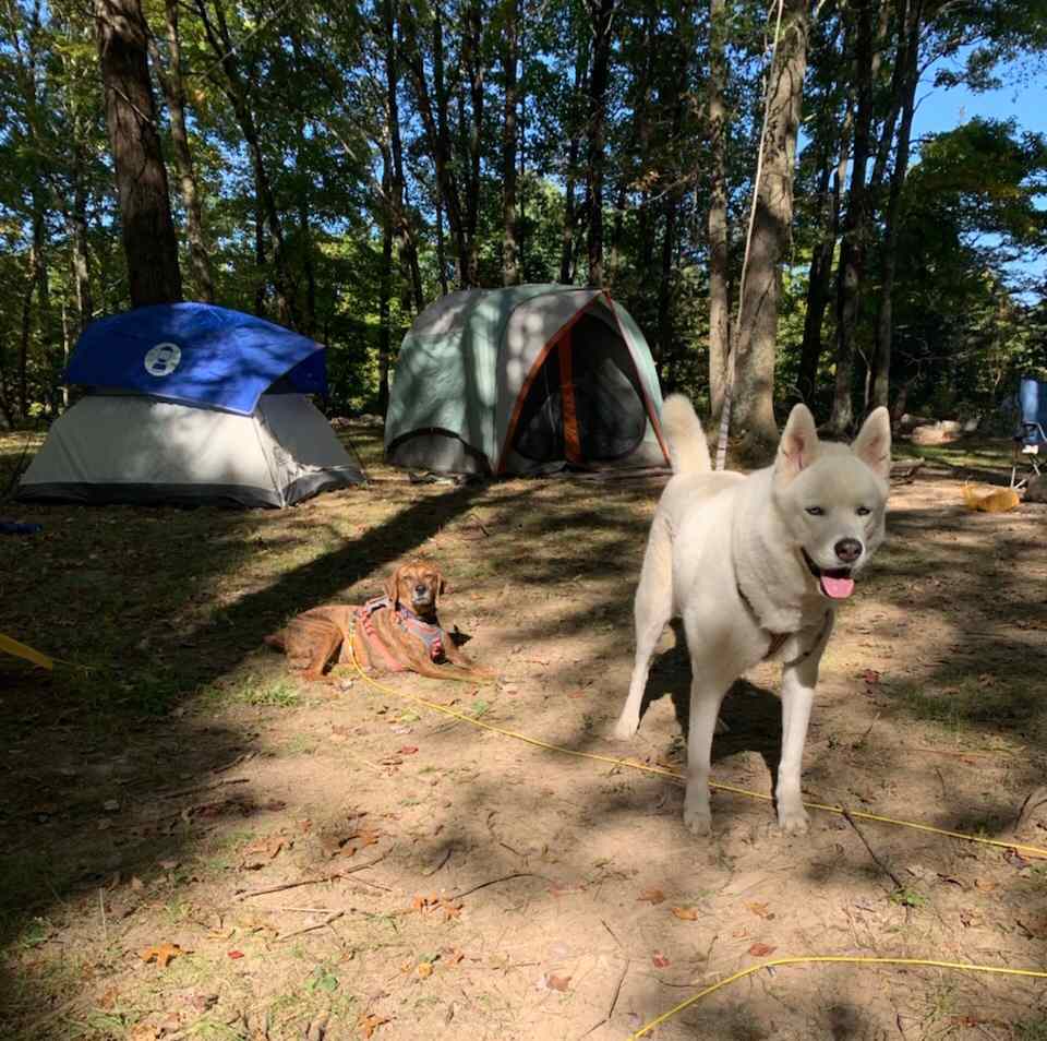 Boulder Point Camp