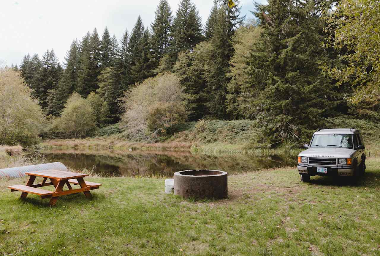 Beaver Pond