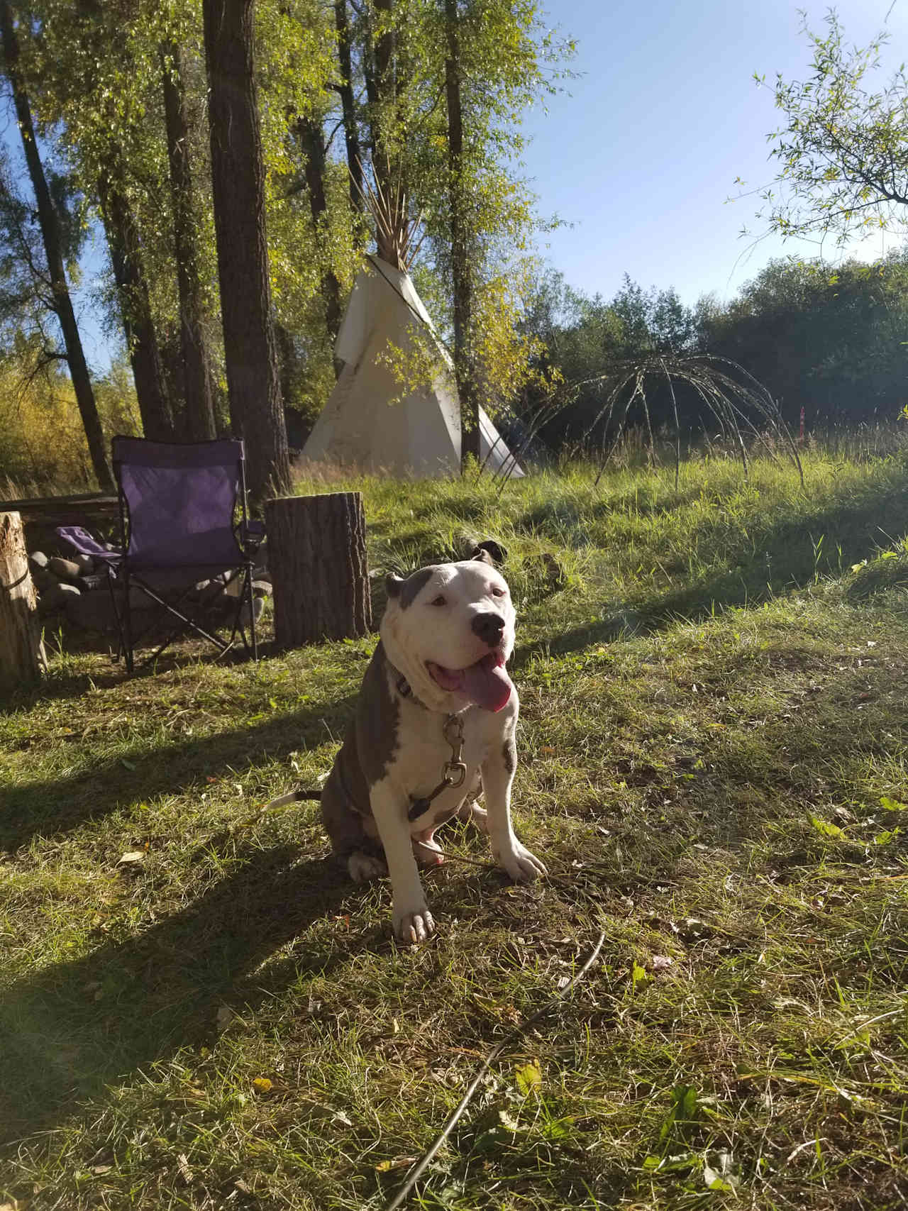 Wilderness Bud and Breakfast