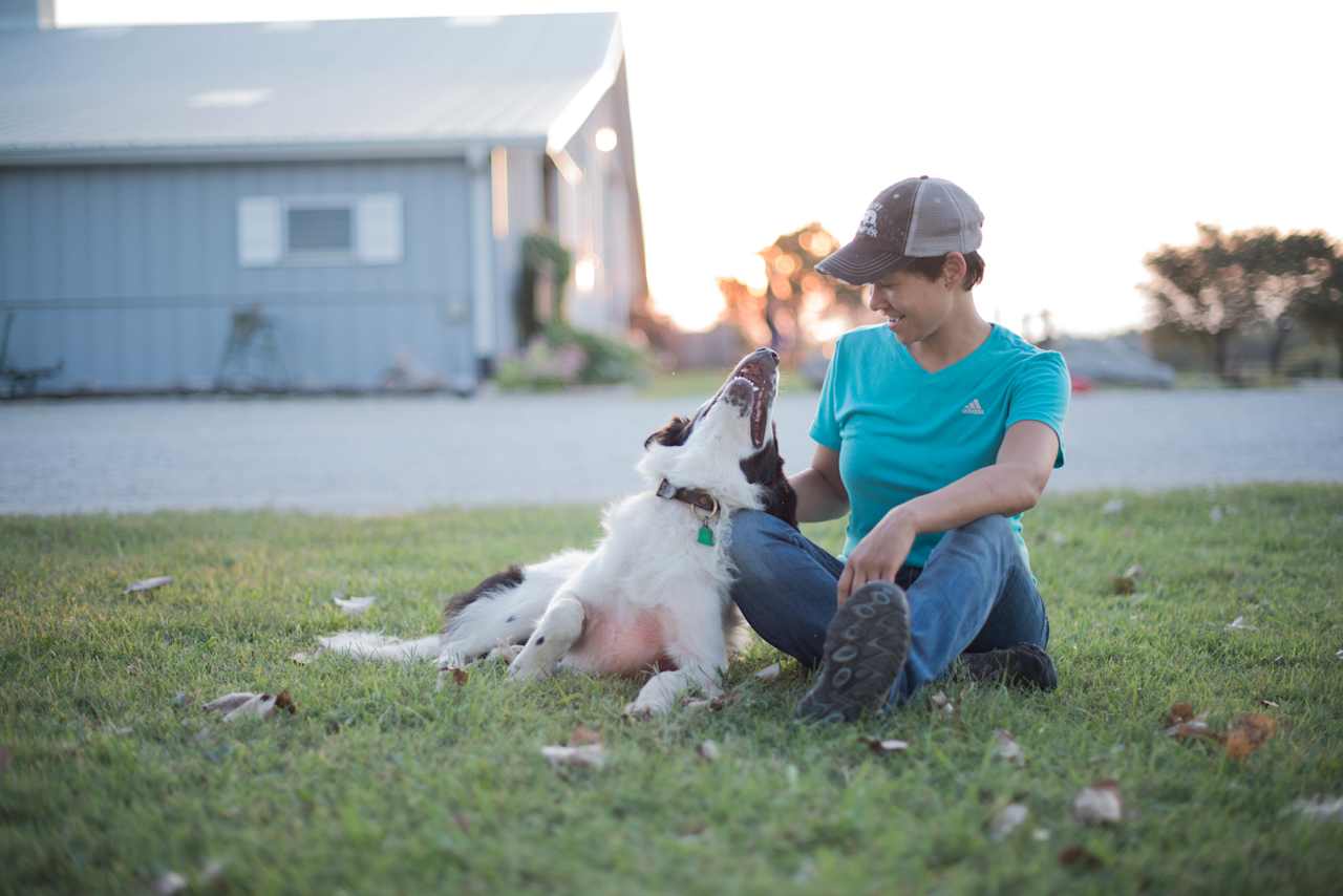 Such a friendly farm dog!