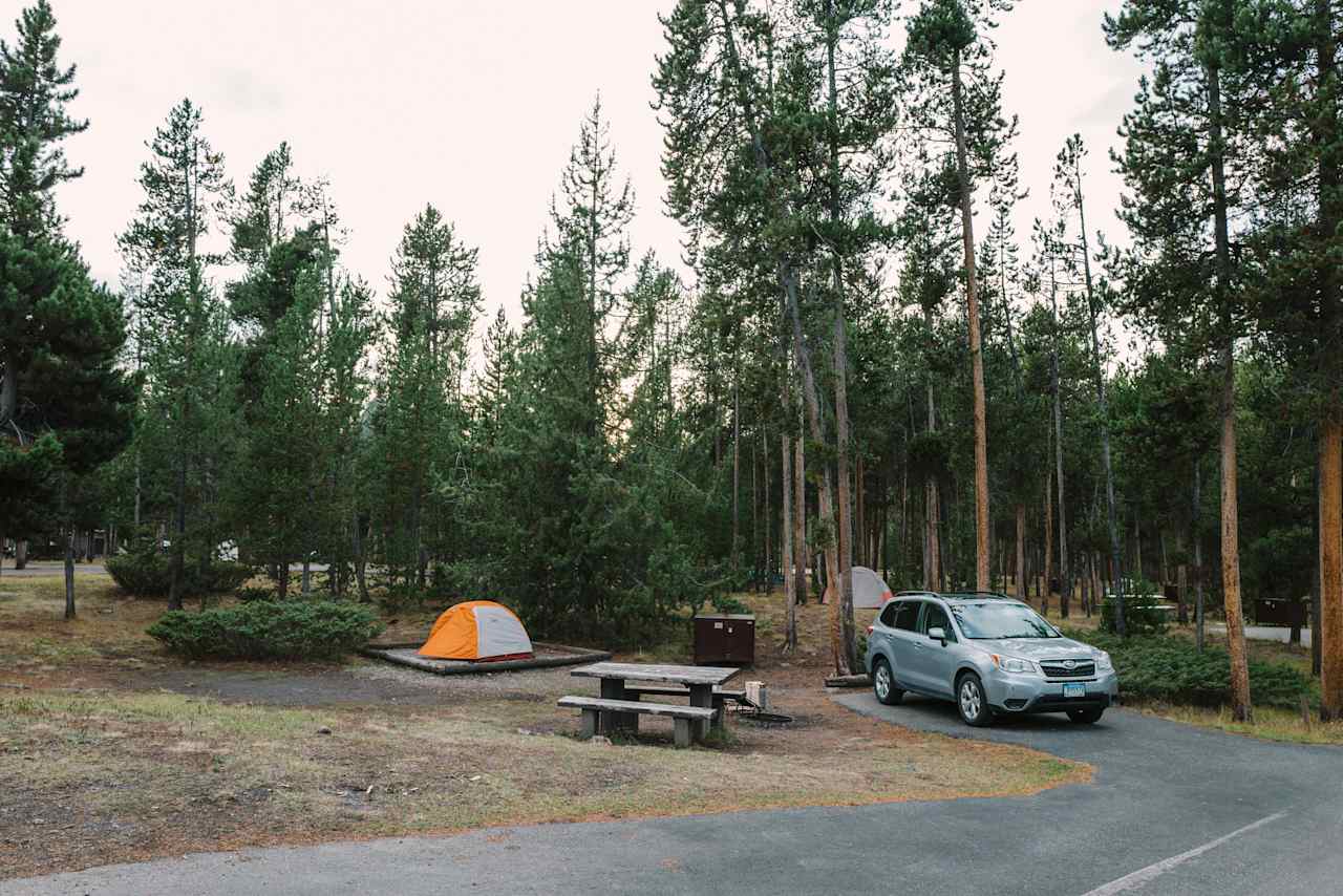 Typical layout of the campsites in loop H. (Tent only loop)