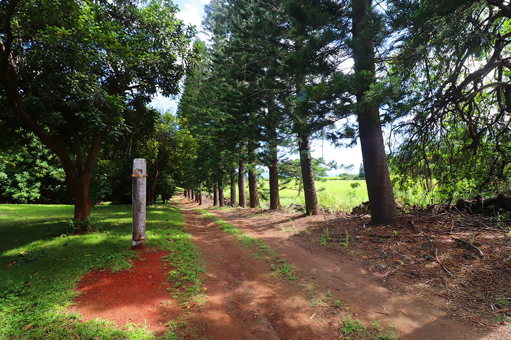 Access rd to orchard and campsites.