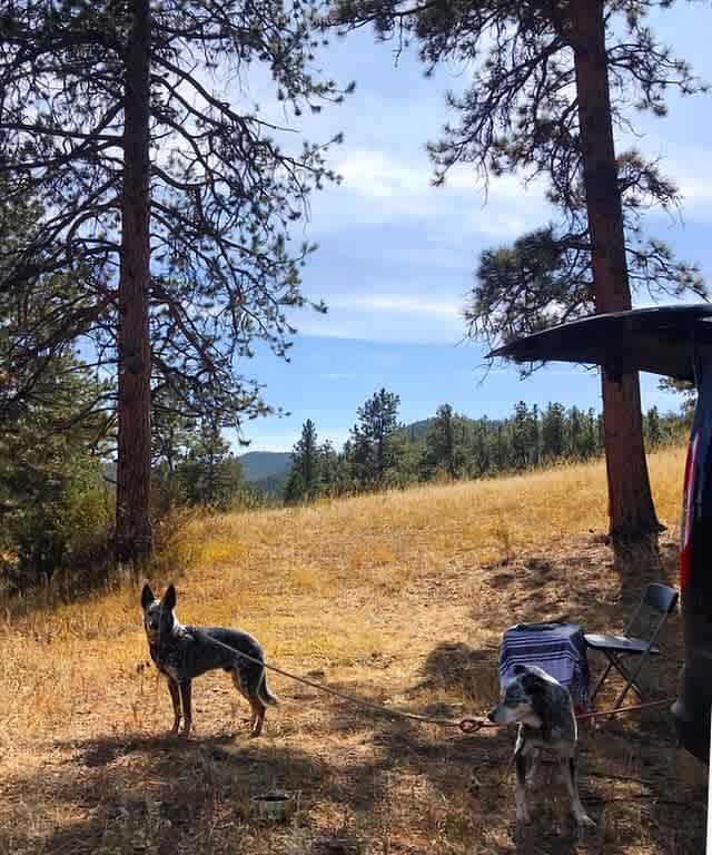 Serenity in the Foothills