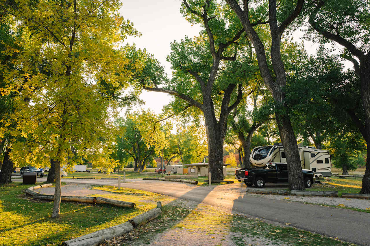 Morning light in the campground.