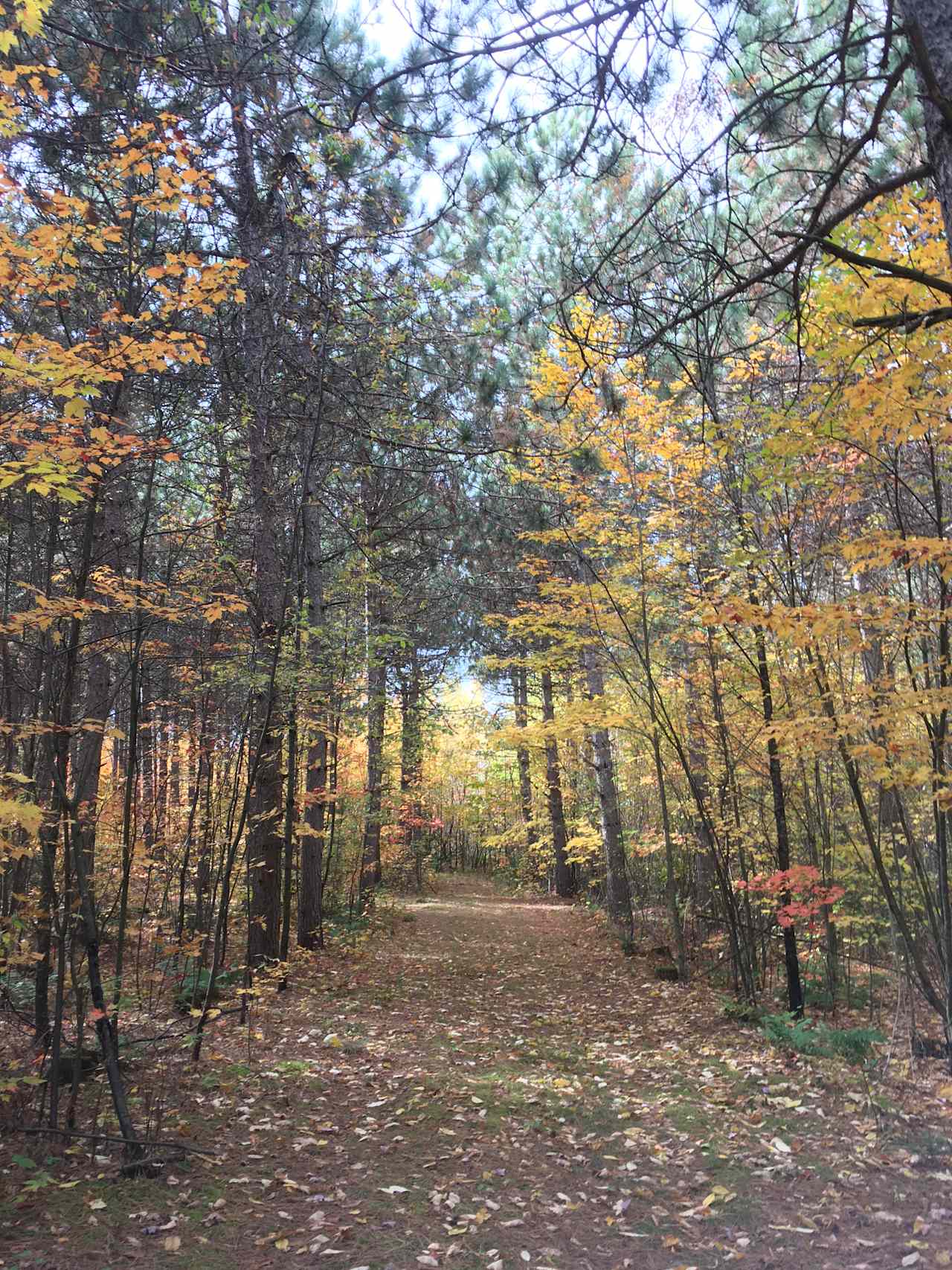 Beautiful foliage drive to camp Knotty Pine