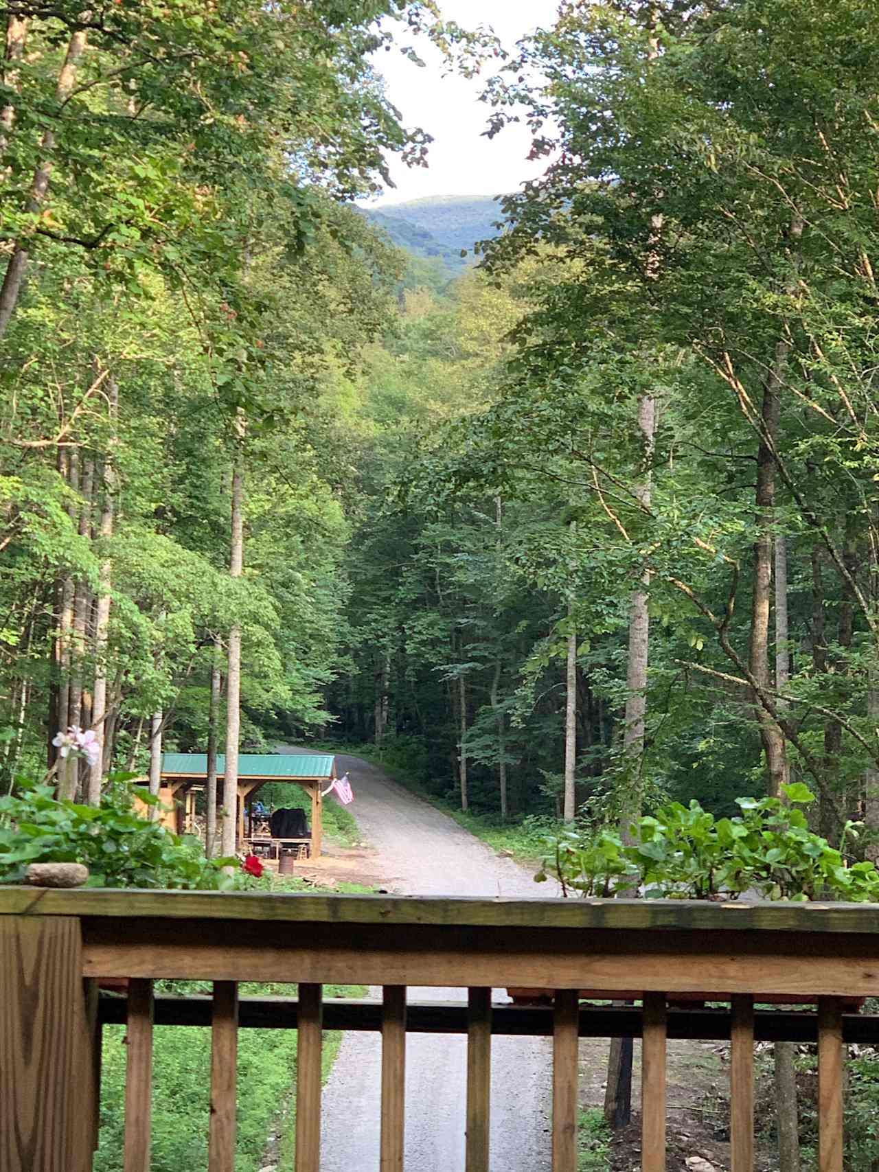 The View towards Craggy Gardens