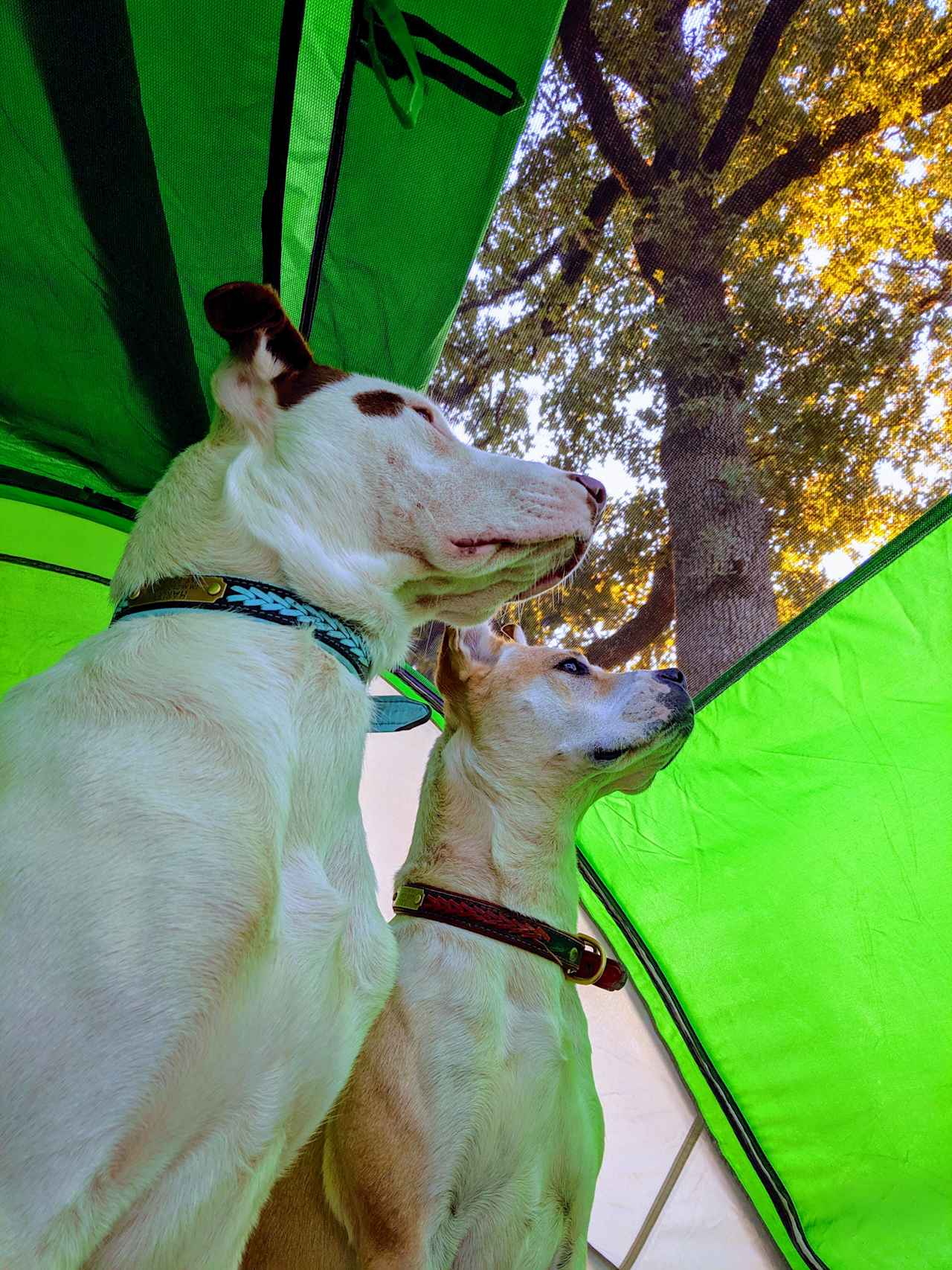 Blue Lagoon Campgrounds