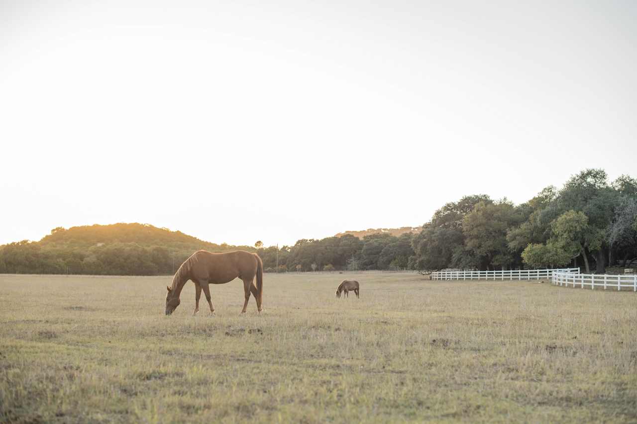 HomeAway Ranch & Wildlife Preserve