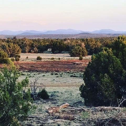 Tiny Town Arizona