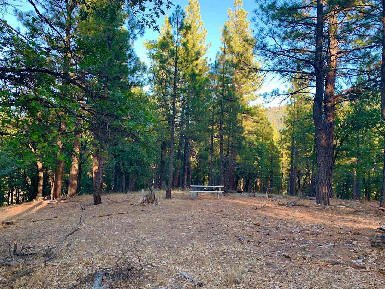 The camp site with a picnic table.