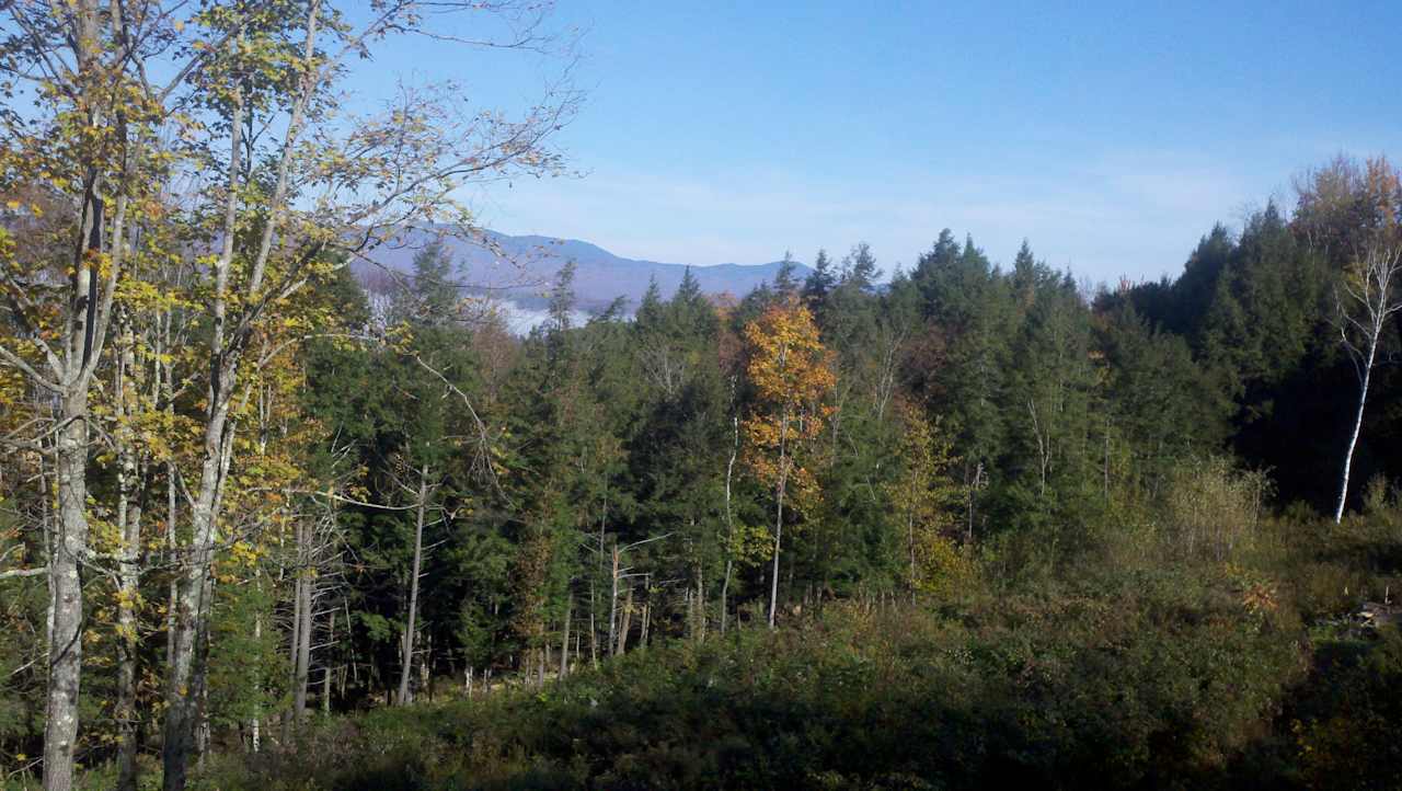 The tent site is located just to the right and downhill from the yellow sugar maple in the middle of the photo. 