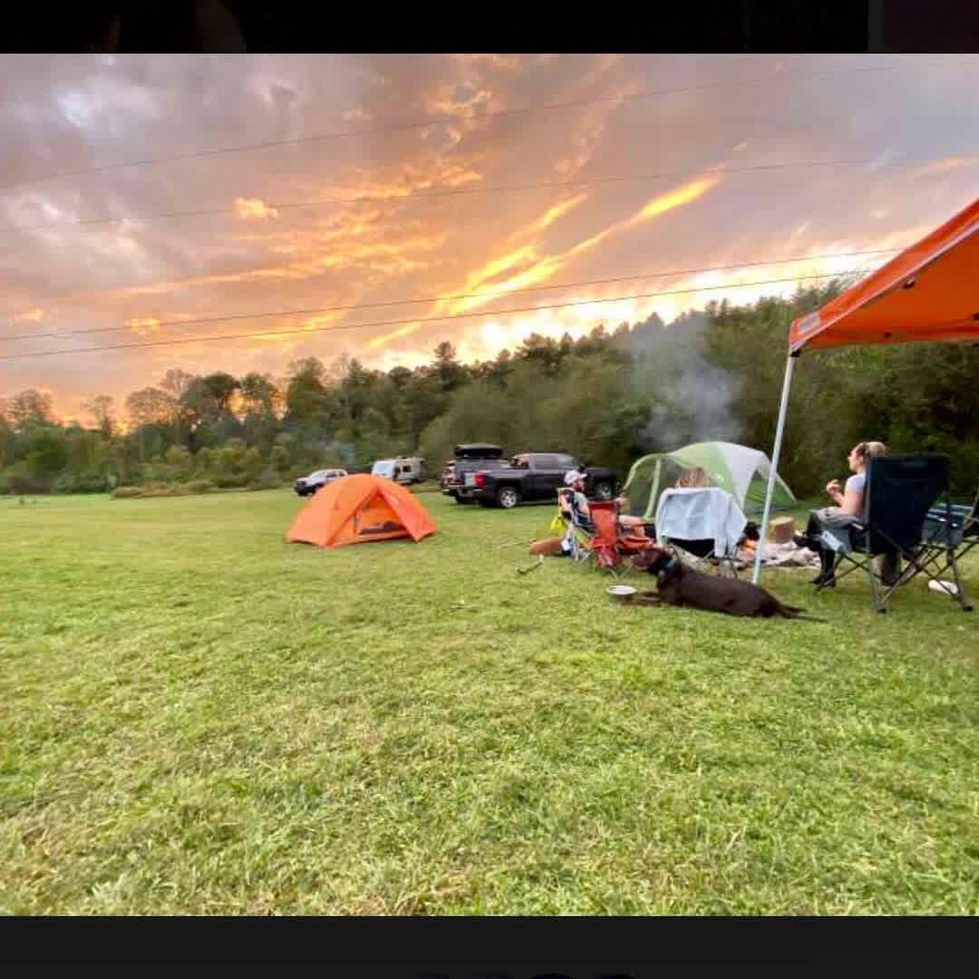 Pisgah Forest Mountain Meadows