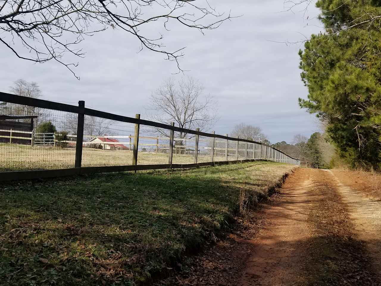 take the loooong driveway to the camping area