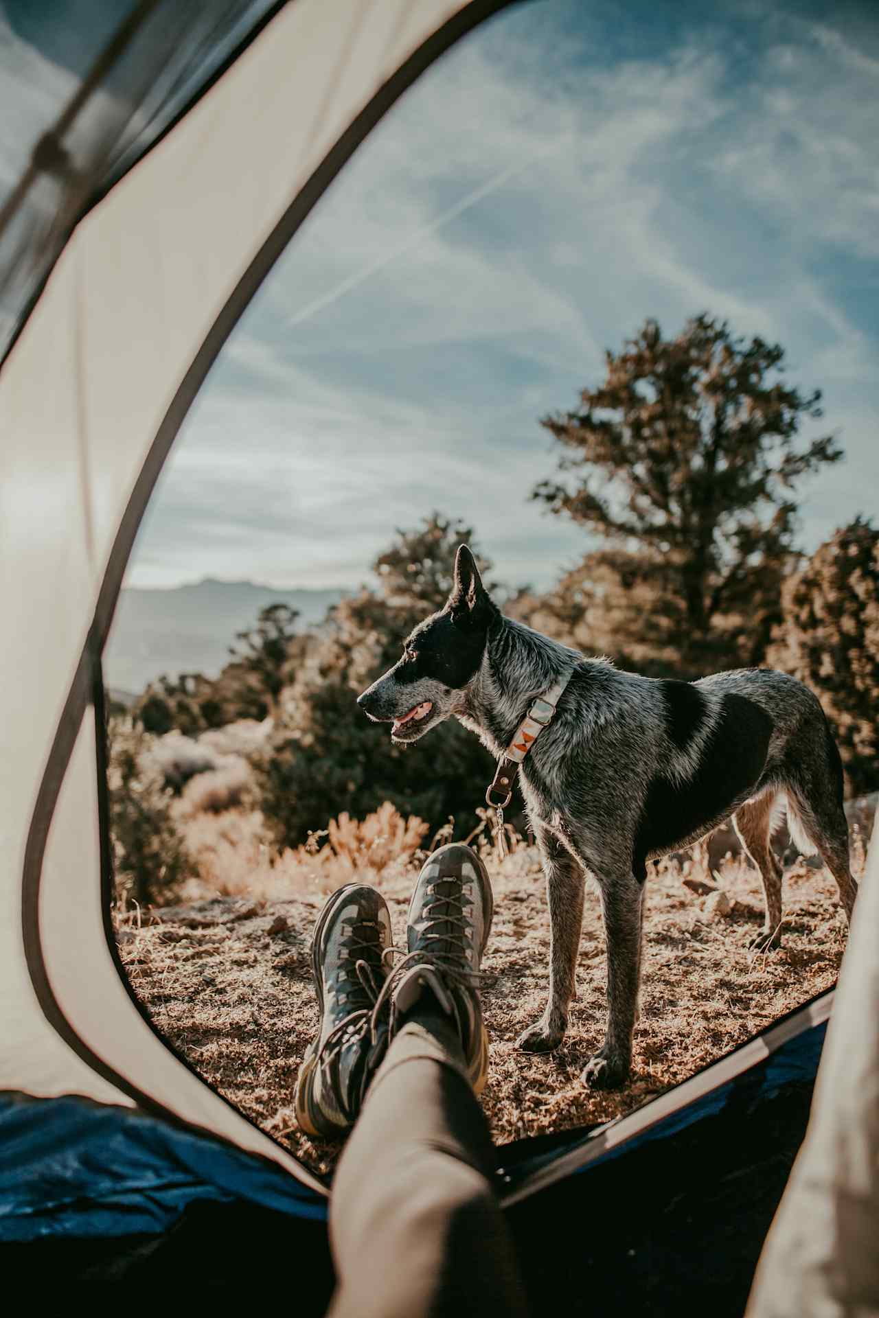 Great spot to relax and enjoy the view