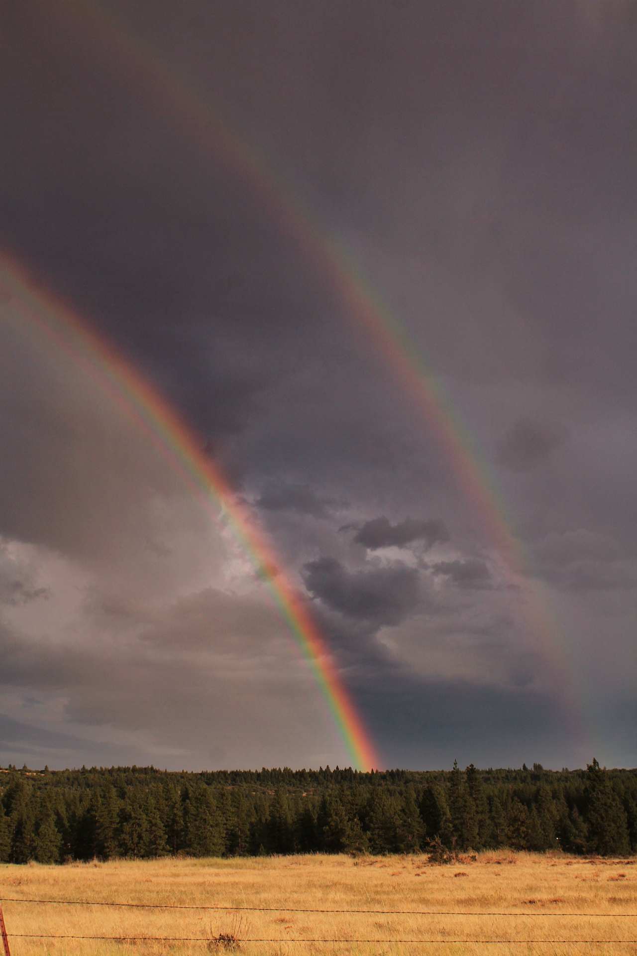 A stunning double rainbow over the Homestead.