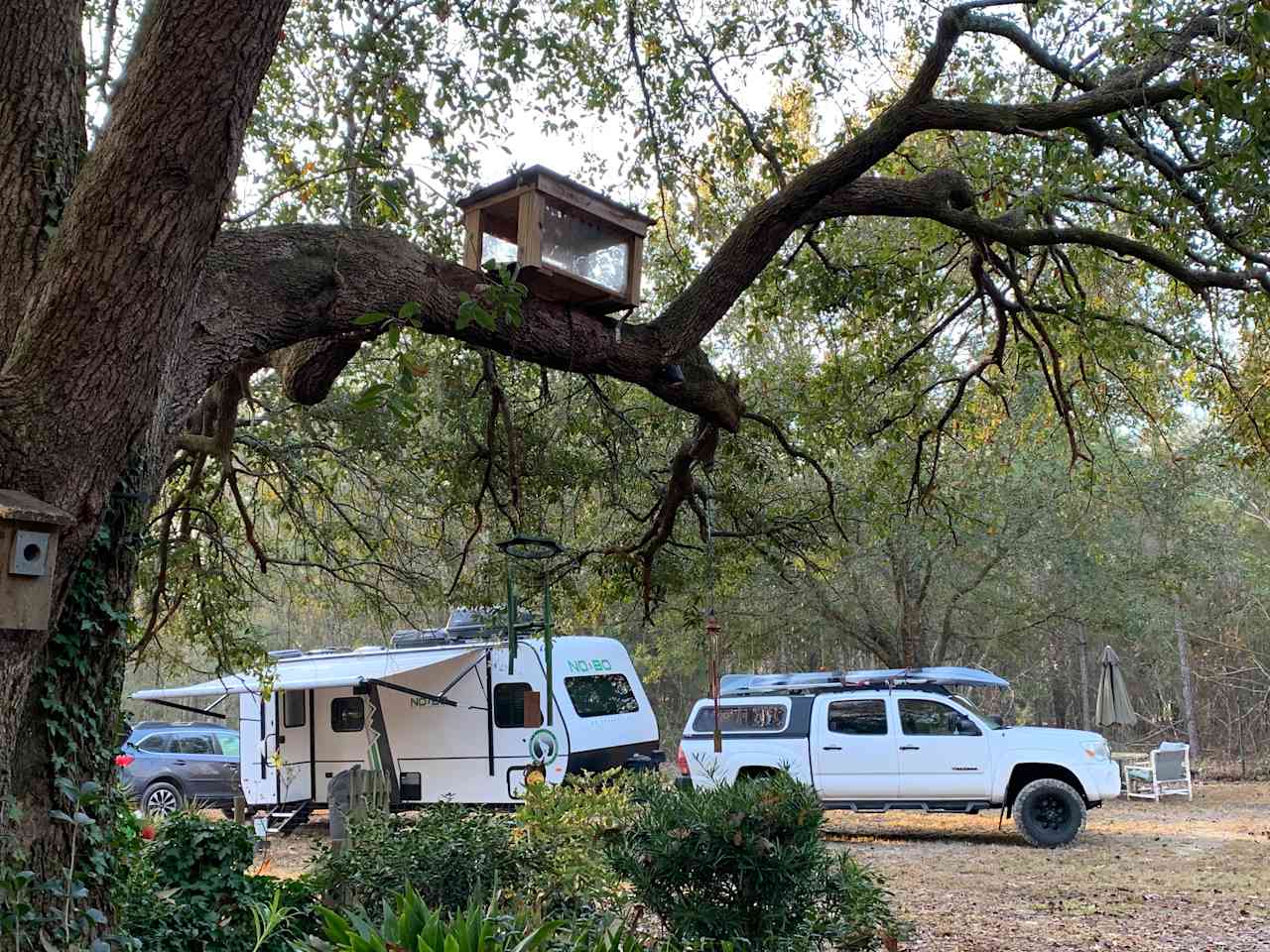 As seen from the front of the house. We were just passing thru for 1 night so didn’t bother leveling it. We had a nice quiet night with a pretty sunrise through the trees. 