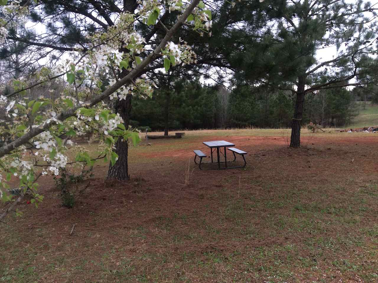 YOUR OWN PRIVATE PICNIC SPOT