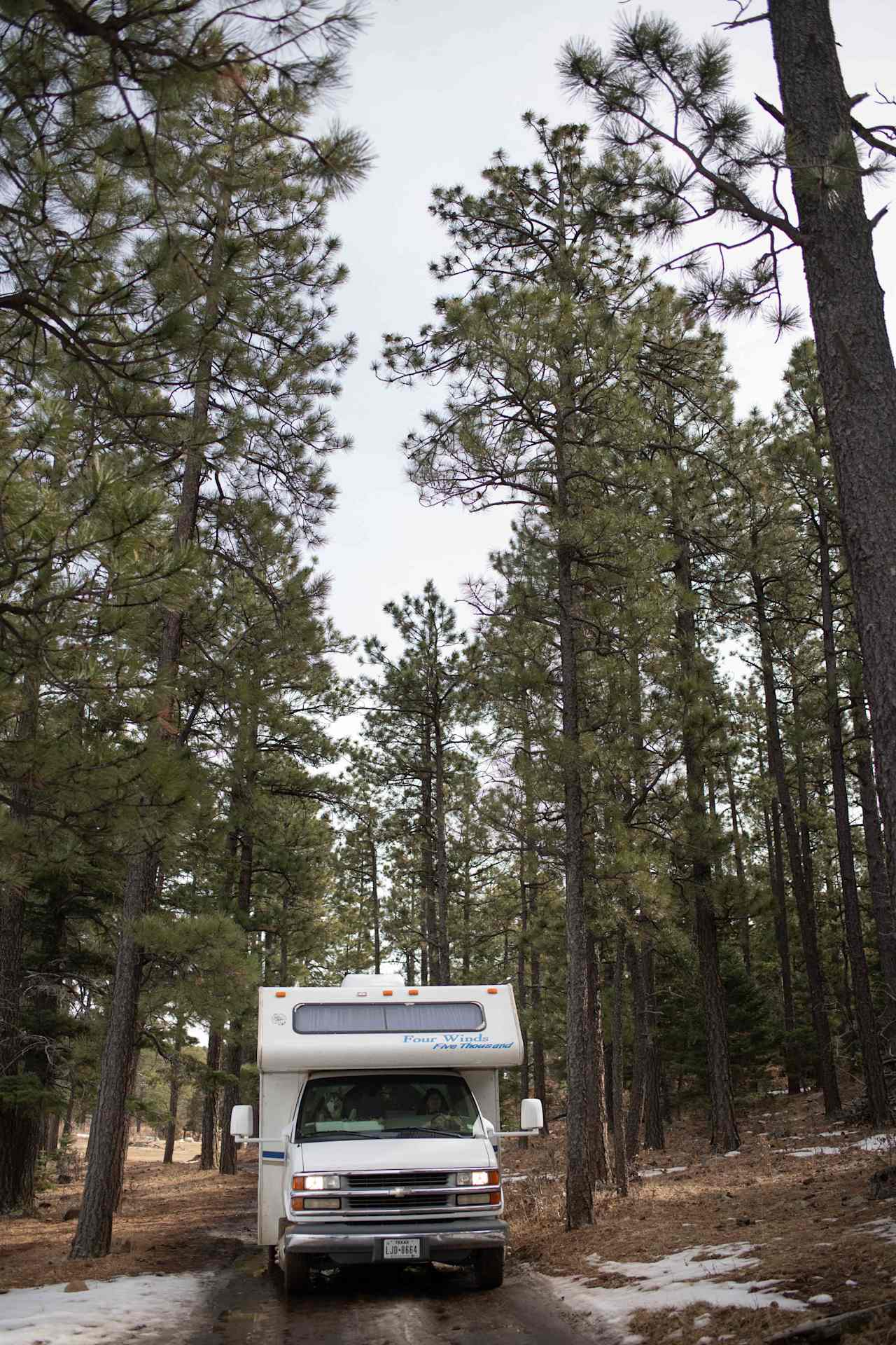 Beautiful drive through the forest!