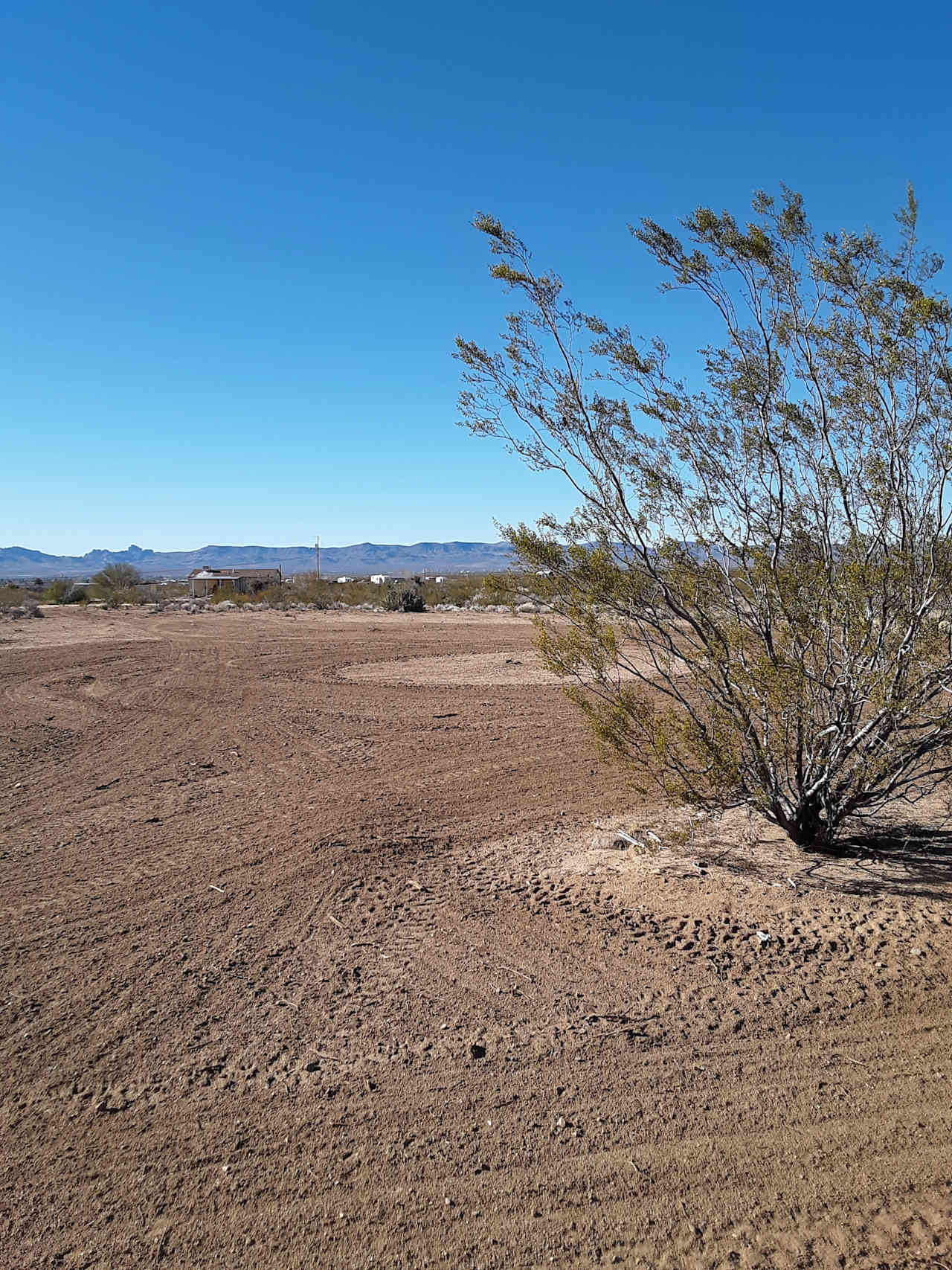 Desert Style Living