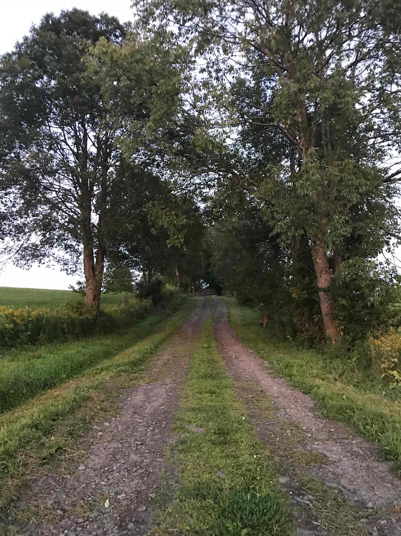 Access road from Center Farm