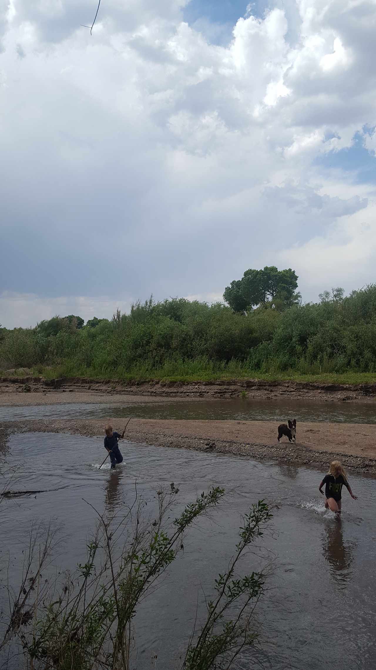 wading in the Gila