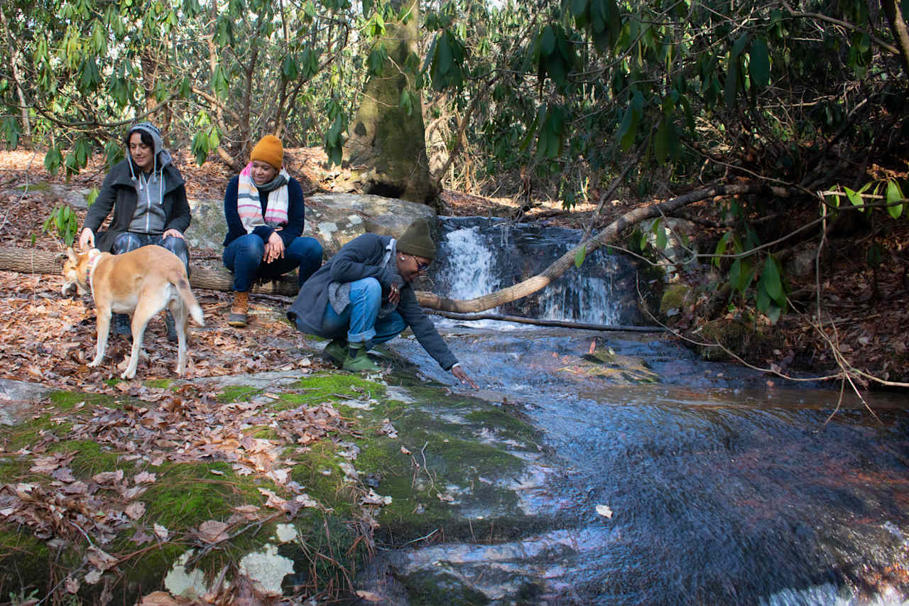 We took a short path walk up to the creek, led by Angela and the pup. At the end was a gorgeous waterfall!