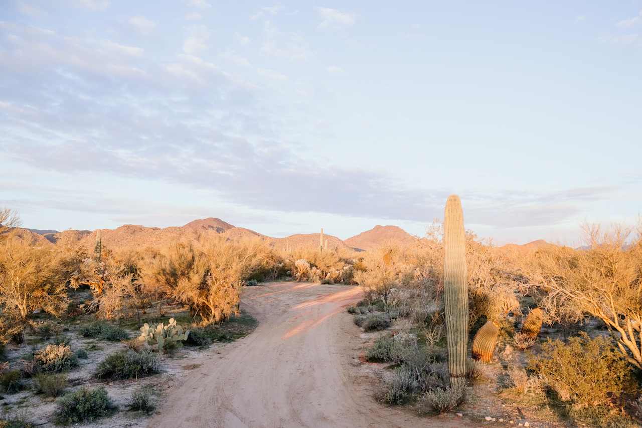 The site during the golden hour. 