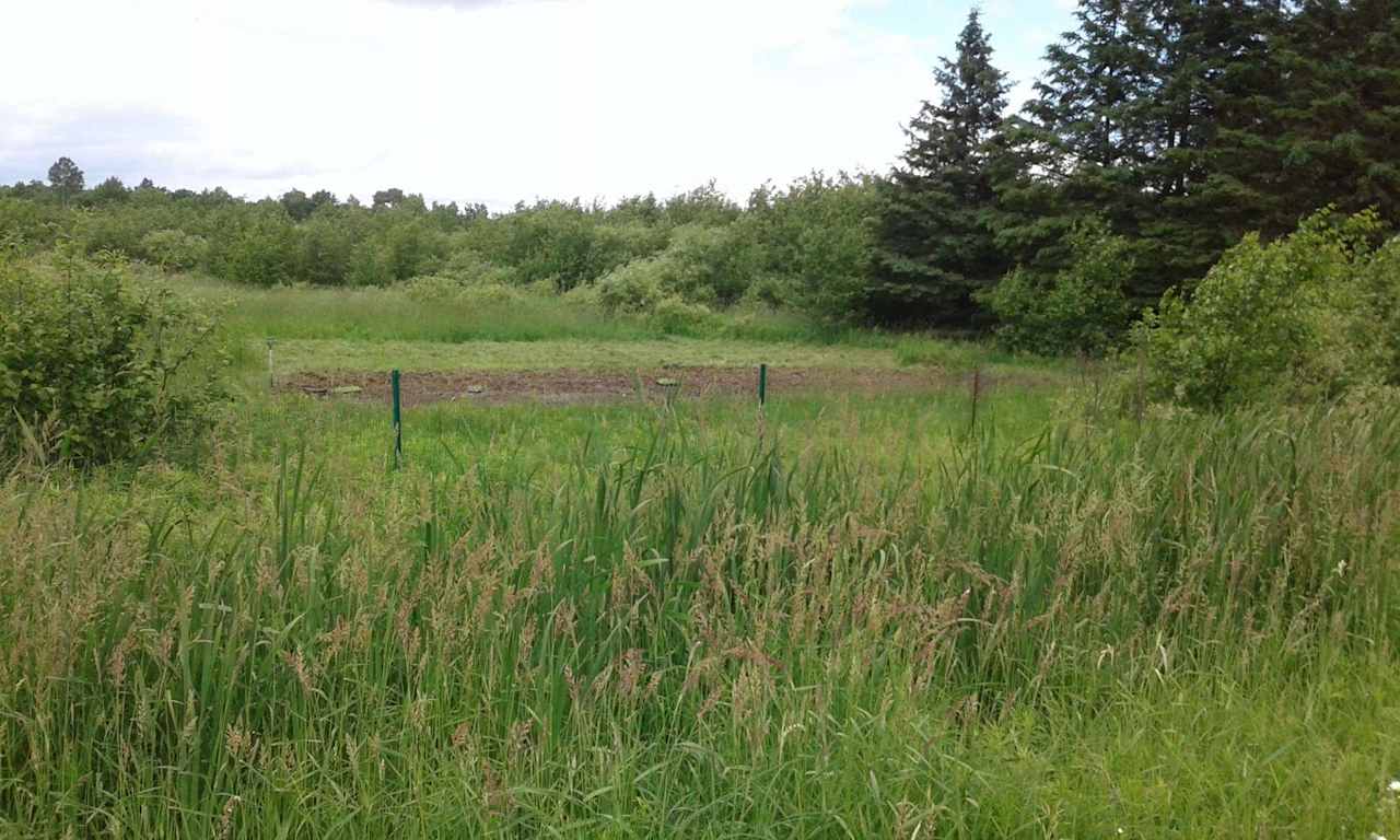 Front field...land goes back as far as the eye can see and is crossed by a stream