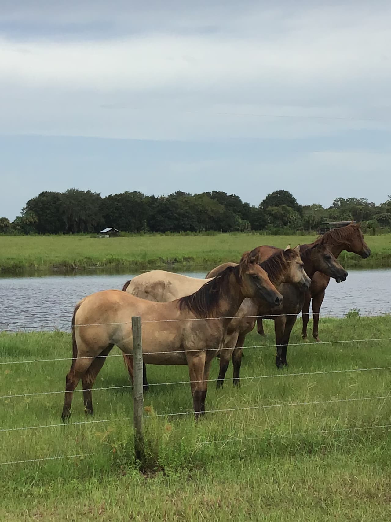 Ready to go to gather those cows