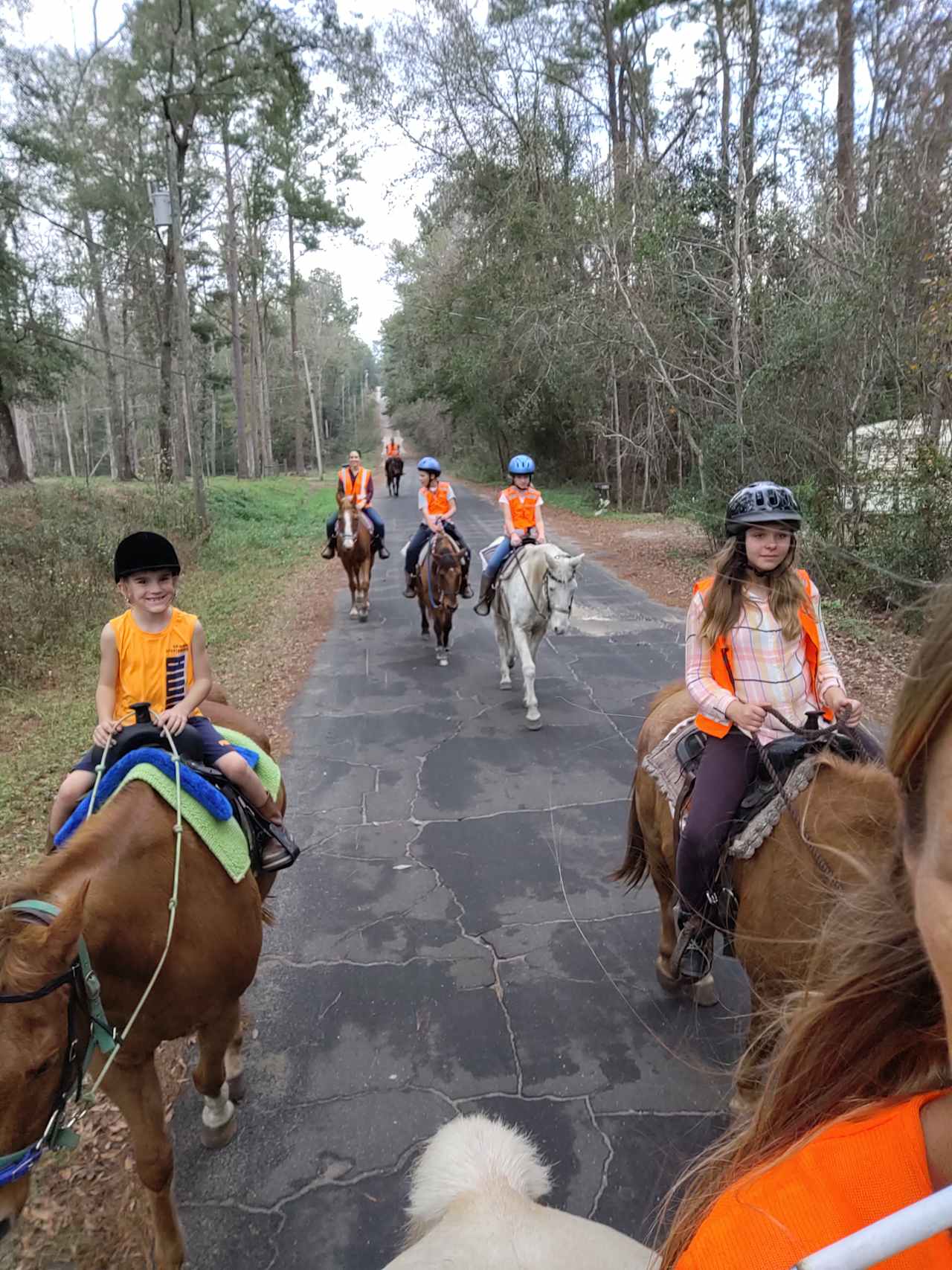Crazy 8 Ranch & 4 Steps Horse Rescue