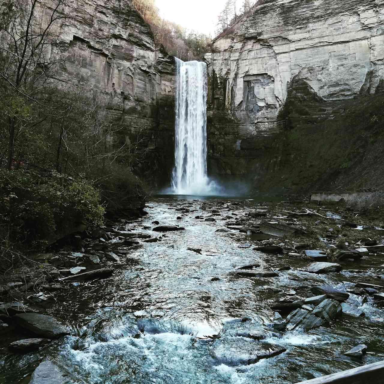 Here is beautiful Taughannock falls. 10 miles away from Minglewood. Definitely worth a visit.