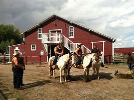 Terry Bison Ranch Resort