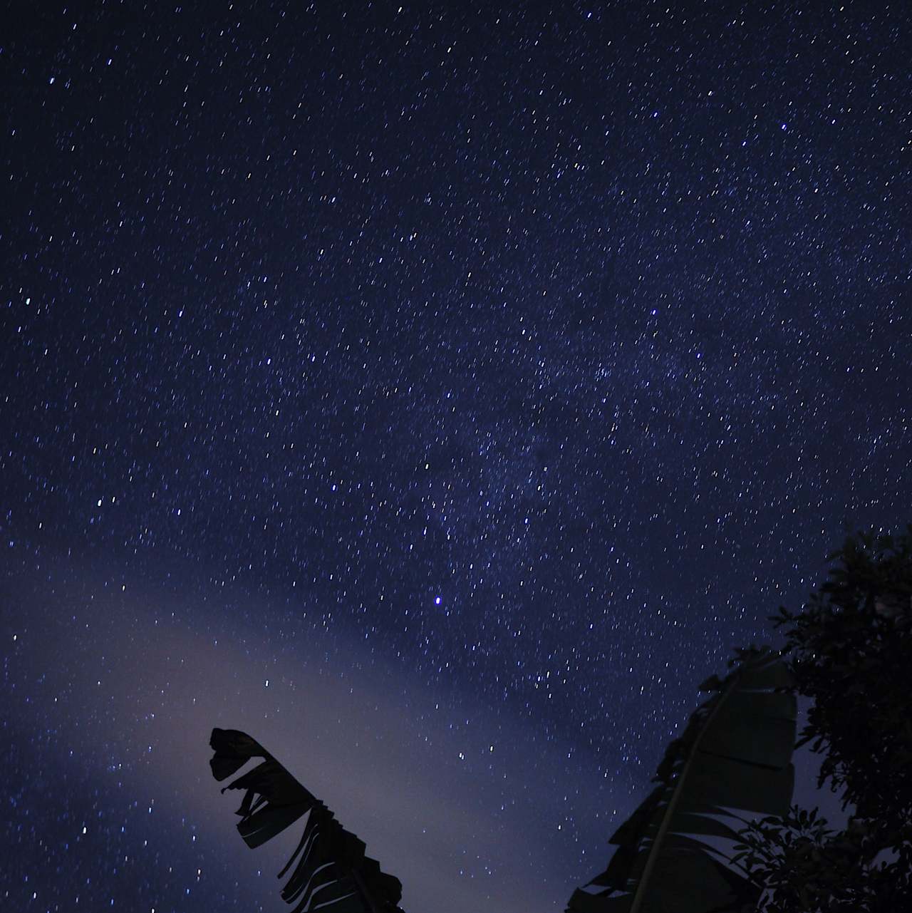 The night sky with very little light pollution.