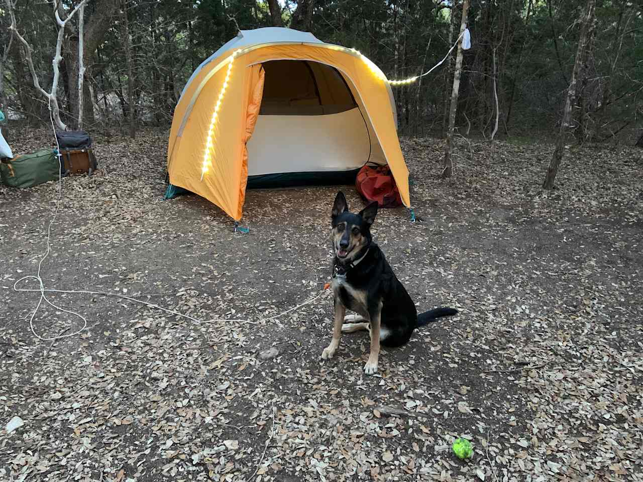 Camping near Hamilton Pool