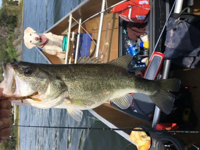 Fishing was good and I loved being able to put my canoe in the water right there!