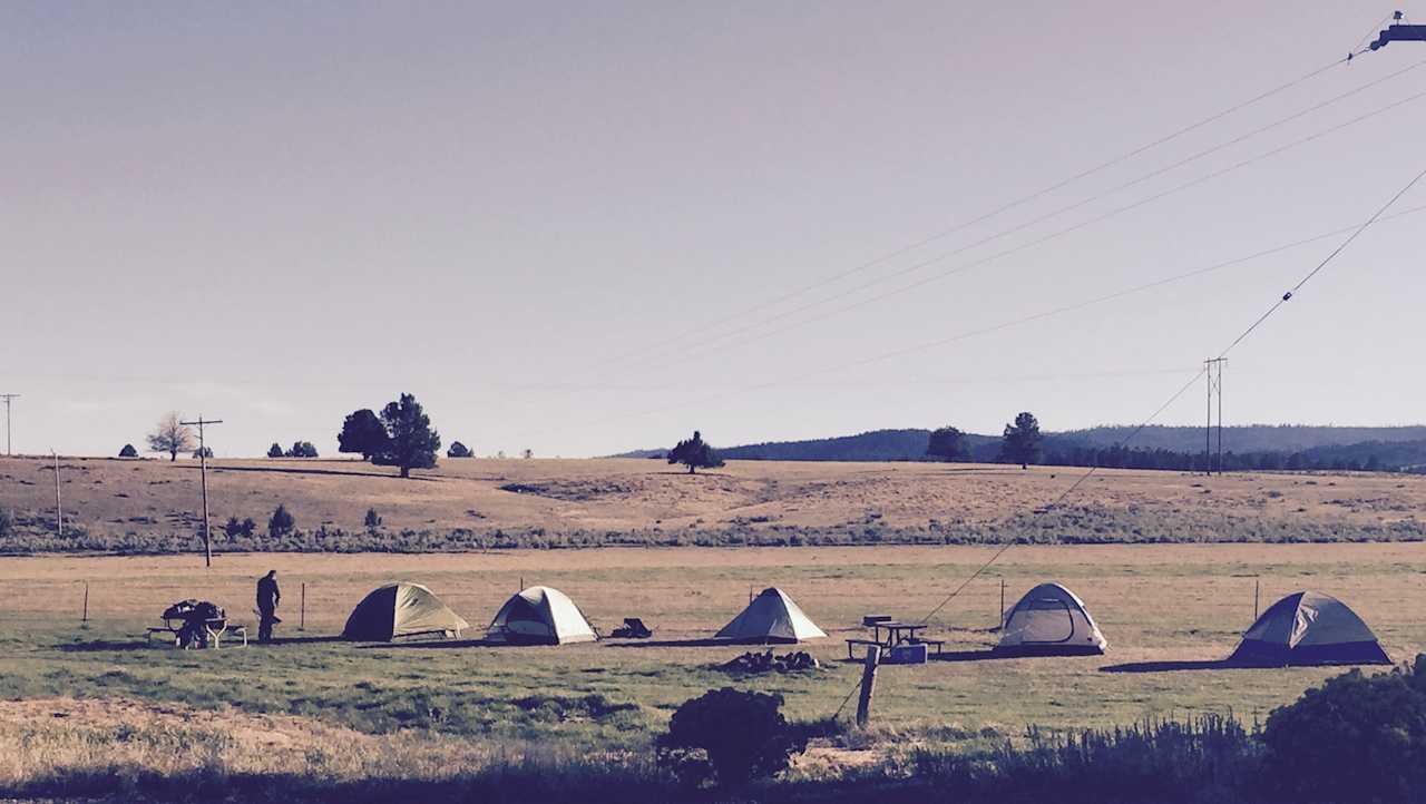 Lots of tent camping sites