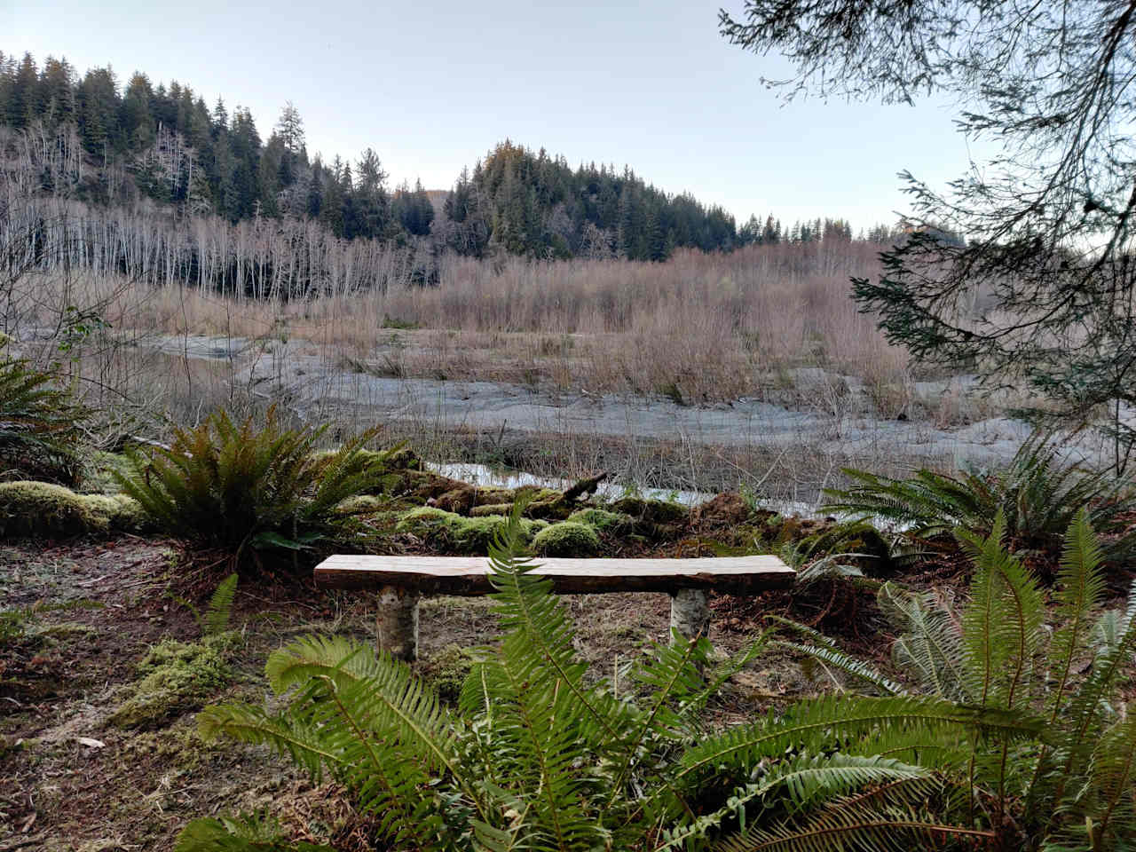 Follow the path behind the outhouse across the forest and you'll find this beautiful scenery