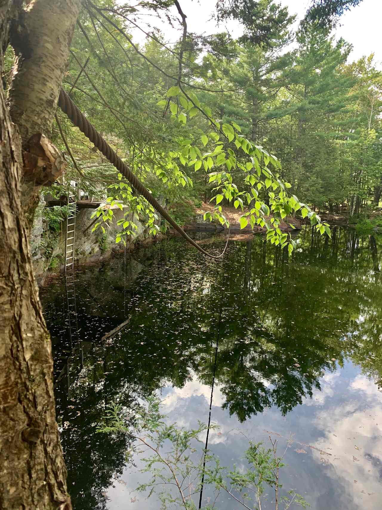 Our Preferred Swimming Quarry with Dock 